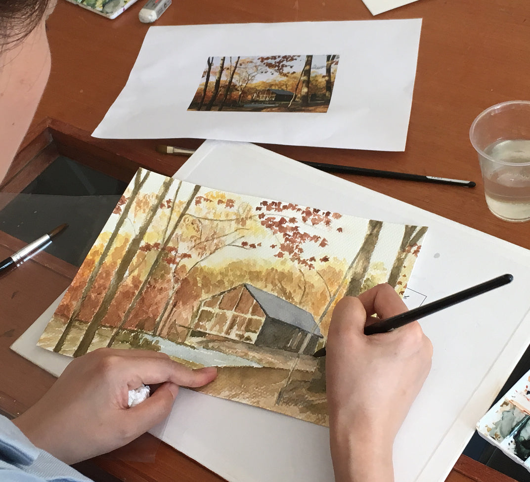 Watercolour Beginner