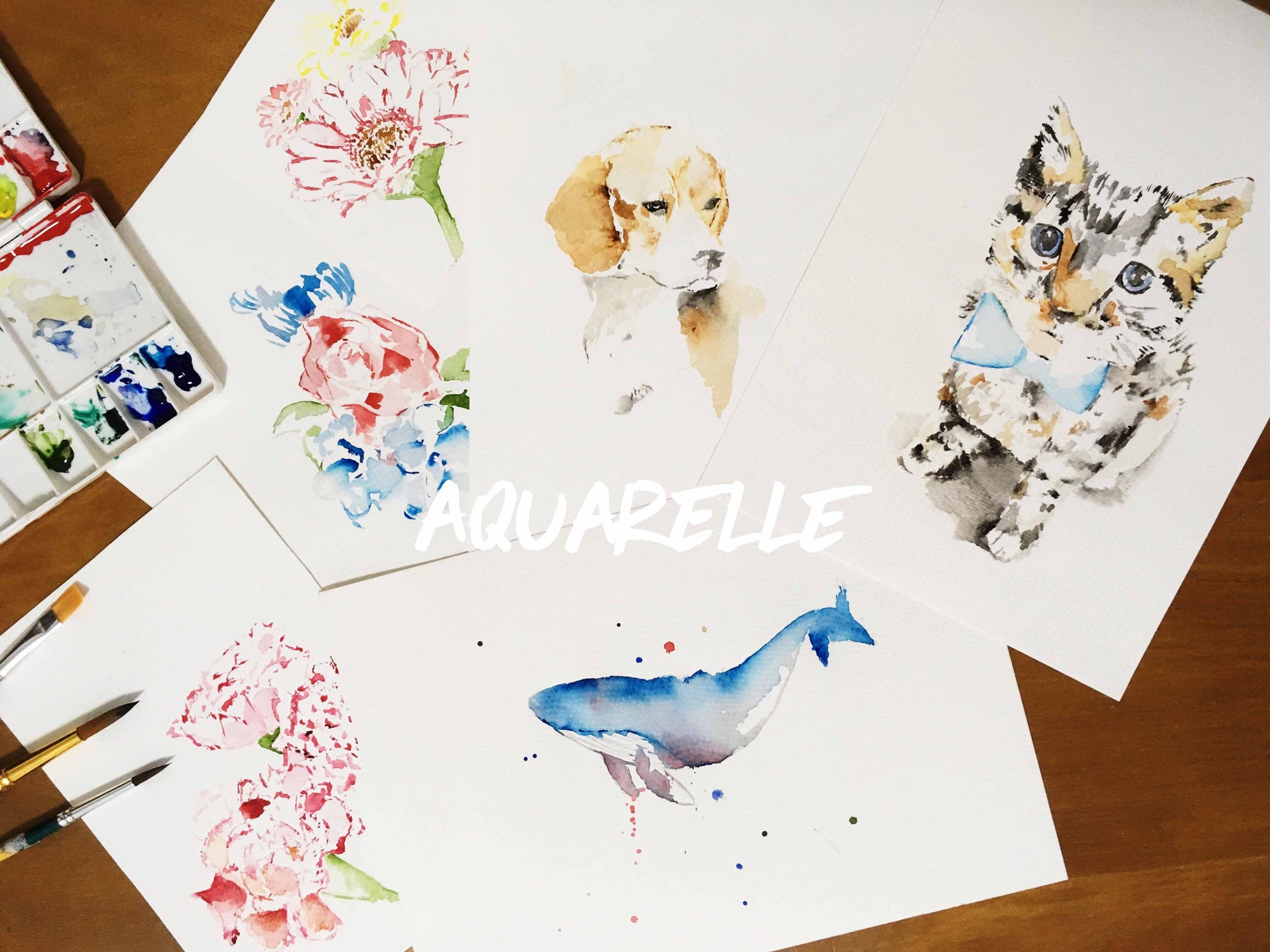 3 weeks Animal Watercolour Course