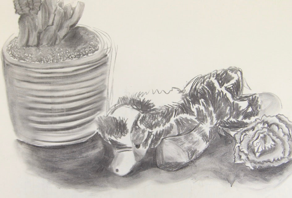 Drawing Beginner