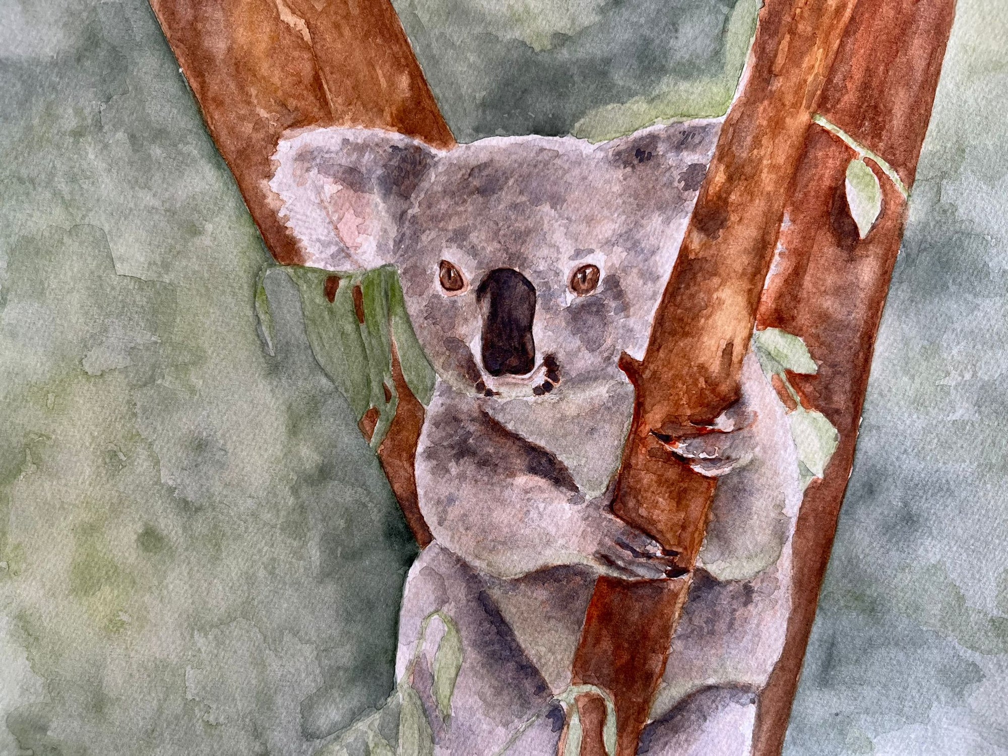 3 weeks Animal Watercolour Course
